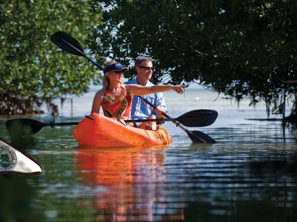 kayak à travers les mangroves